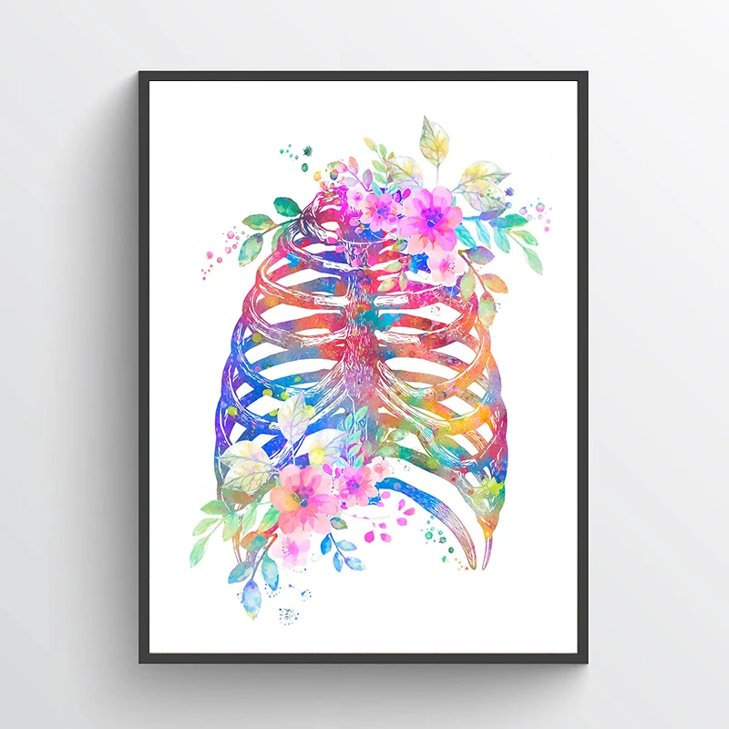 Anatomiczny plakat medyczny, k – Medical Lab Posters recenzja i cena